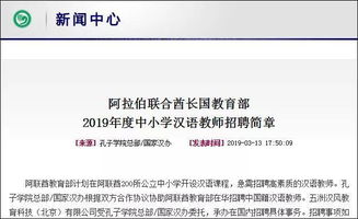 飞机中文包怎么搜索,飞机中文包搜索指南(图6)