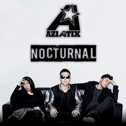 2023 nocturnal,2023年Nocturnal音乐节的亮点与期待(图2)