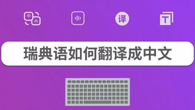 纸飞机在线翻译成中文版,纸飞机的飞行艺术——在线翻译带你领略纸飞机的魅力(图3)