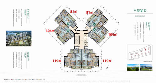 幸存区 伊甸园 如何分析,JVM内存管理的核心区域分析(图2)