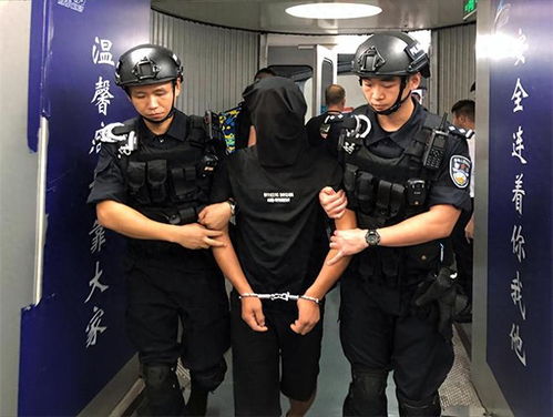 这是警察2审讯,审讯的艺术与策略(图4)