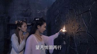 小骨剧情解读,小骨的成长之路与情感纠葛(图4)