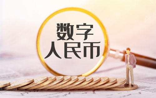 什么垃圾安卓版(图5)