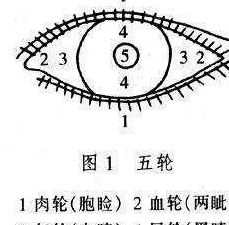 《齿轮迷局》评测:走肾不走心!不是所有的齿轮,都叫蒸汽,游戏背景与设定(图6)