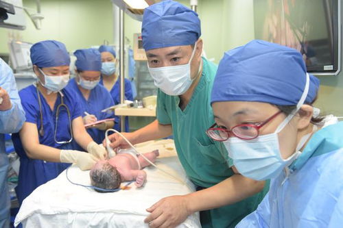 急救手术生宝宝游戏,游戏背景与设定(图1) 急救手术生宝宝游戏,游戏背景与设定(图1)