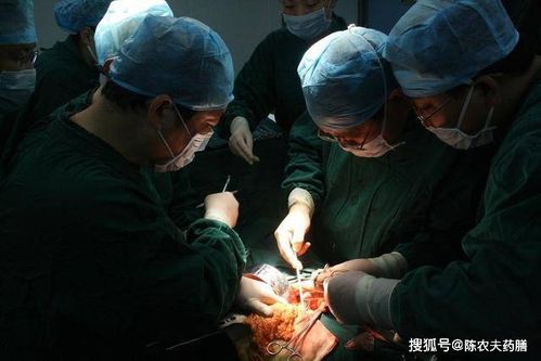 急救手术生宝宝游戏,游戏背景与设定(图6) 急救手术生宝宝游戏,游戏背景与设定(图6)