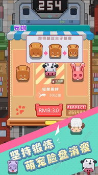 减肥町游戏,趣味与健康的完美结合(图3)