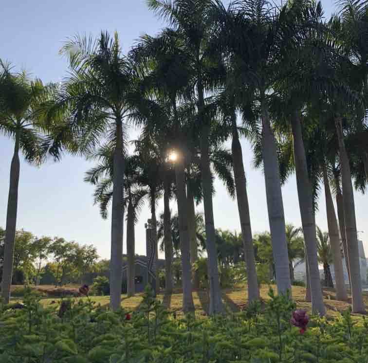 吉乐岛游戏,吉乐岛游戏简介(图5)