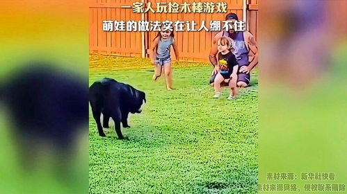 捡娃娃游戏(图7) 捡娃娃游戏(图7)