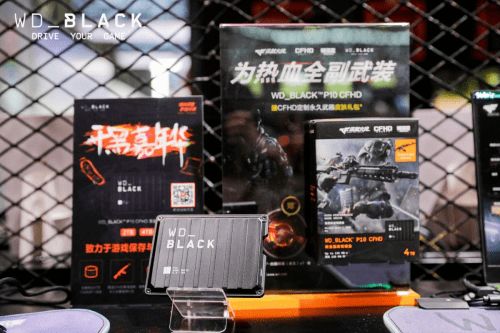 极致游戏公司,创新与品质的完美融合(图5) 极致游戏公司,创新与品质的完美融合(图5)
