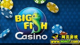 big fish games发行游戏,休闲游戏领域的领军者(图16)