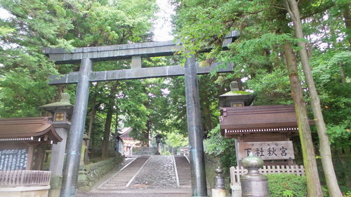 守矢神社,幻想乡中的神秘圣地(图5)