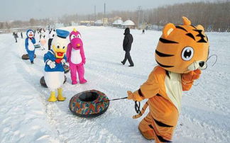 冰雪节砸雪球,冰雪节砸雪球活动，欢乐无限，惊喜连连(图4)