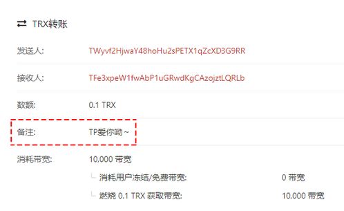 tokenpocket最新版本,数字资产管理的全新体验(图6)