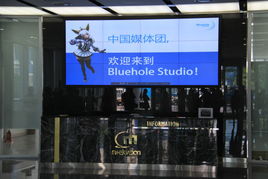 bluehole studio,引领游戏行业的创新力量(图4)