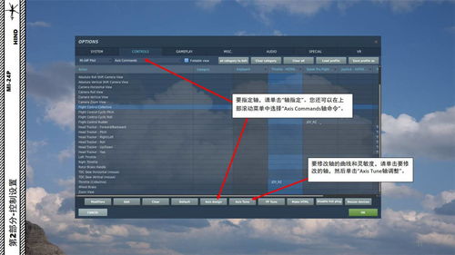 飞机设置中文教程(图5)
