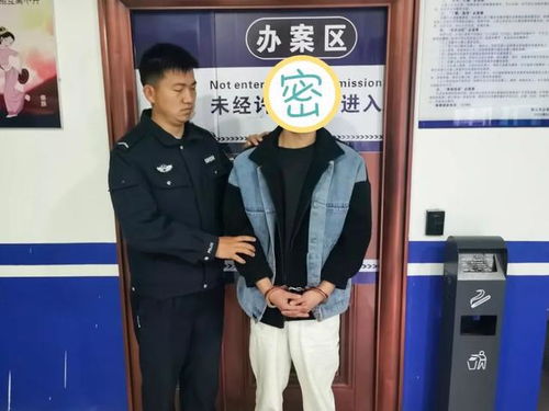 这就是警察2线索最多,这就是警察2——线索遍布的悬疑世界(图7)