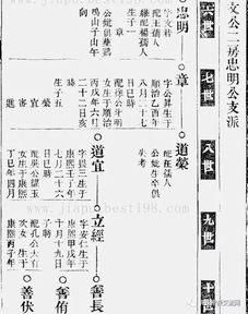 家谱图游戏,探索家族历史的数字之旅(图3)