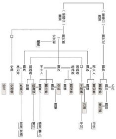 家谱图游戏,探索家族历史的数字之旅(图4)