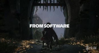 from software 的黑暗之魂系列,硬核冒险的奇幻世界(图6)