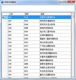 飞机中文代码,飞机中文代码的起源与重要性(图4)