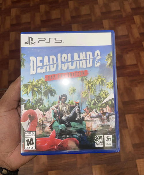 游戏dead island 2的中文名字,中文名字的魅力与期待(图3)