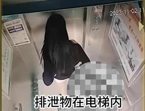 美女拉屎,美女拉屎，文明生活的反思(图5)