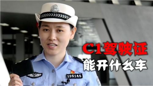 这是警察2警员大全,警衔等级解析与职责概述(图3)