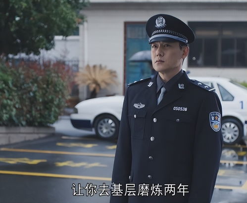 这是警察2警员大全,警衔等级解析与职责概述(图5)