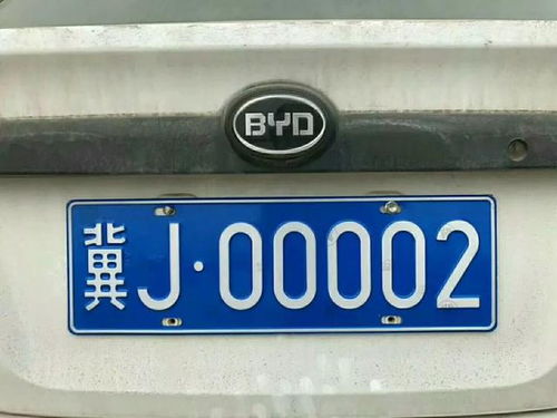 选个车牌号的游戏答案,如何在游戏中选个心仪的车牌号？攻略全解析