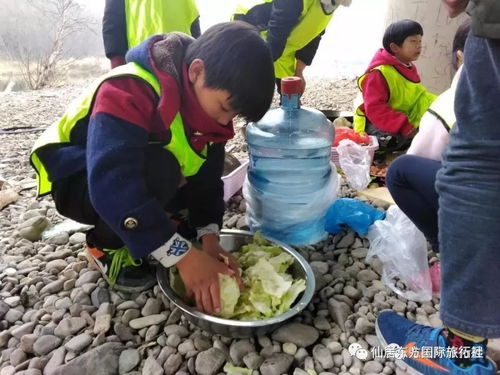 休闲风做饭游戏,轻松享受烹饪乐趣——休闲风做饭游戏推荐(图4)