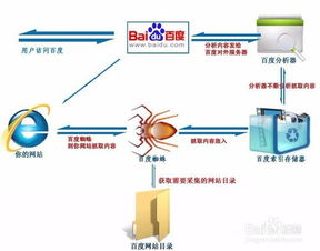 蜘蛛搜索引擎,互联网信息检索的幕后英雄(图4)