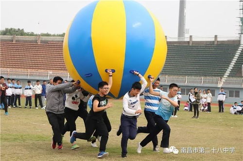 集体球游戏,集体球游戏的魅力与玩法解析(图4)