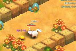 星月玩游戏,传奇世界中的女侠客，用实力征服虚拟江湖(图4)