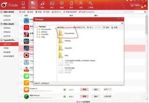 蘑菇云游安卓版(图3) 蘑菇云游安卓版(图3)