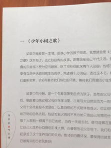 学打游戏作文,从新手到高手的游戏之旅(图4)