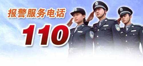 这是警察1攻略所有案件拼图(图4)