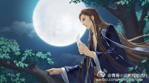 双人竞技场安卓版(图5) 双人竞技场安卓版(图5)