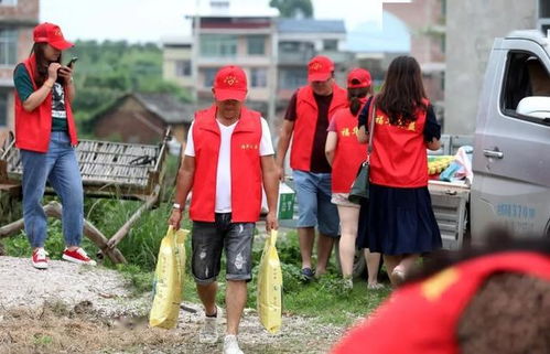 兄妹做游戏,共享快乐与智慧的时光之旅(图6)