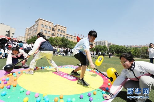 学生活动游戏,寓教于乐，学生活动游戏助力全面发展