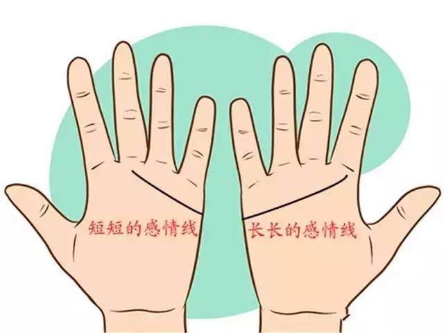 拍照识花助手 (图3) 拍照识花助手 (图3)
