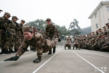 新兵游戏活动(图2)