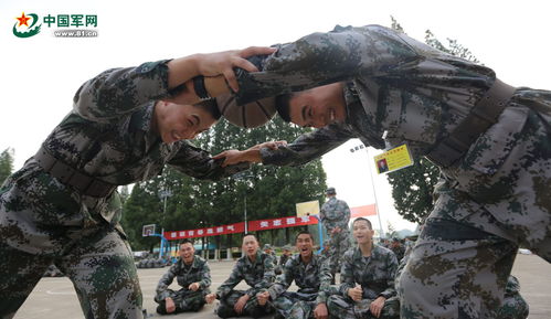 新兵游戏活动(图4)