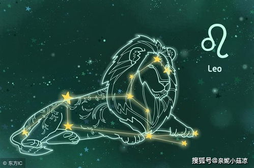 星座座游戏,探索神秘星象，体验趣味互动(图7)