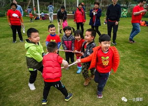 学前班春游亲子游戏,春意盎然，欢乐同行——学前班春游亲子游戏攻略(图11)