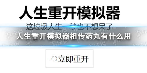 重开人生模拟器,重开人生模拟器的起源与发展(图2)