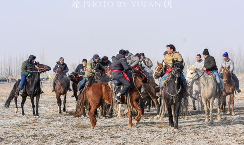 新疆特色游戏攻略,体验西域风情，畅游虚拟新疆(图5)