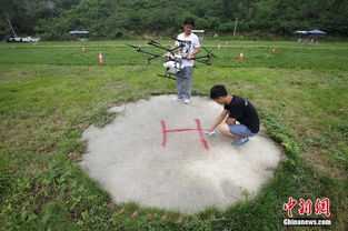 驾照考试游戏,模拟真实驾考，轻松掌握驾驶技巧