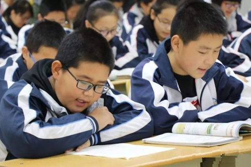 学生清醒游戏,寓教于乐，提升学习效率(图1)