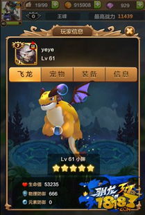 驯飞龙的游戏,探索飞龙世界的奇幻冒险——驯飞龙游戏全攻略(图5)